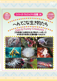 へんてこな生き物たち